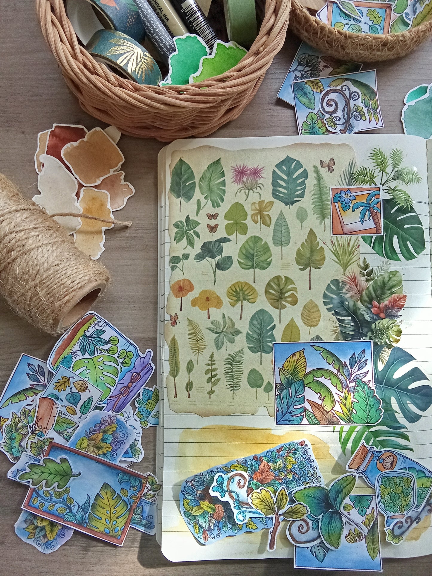 Lot de stickers feuillages – 44 autocollants illustrés à l’aquarelle, ambiance plantes, nature et terrariums