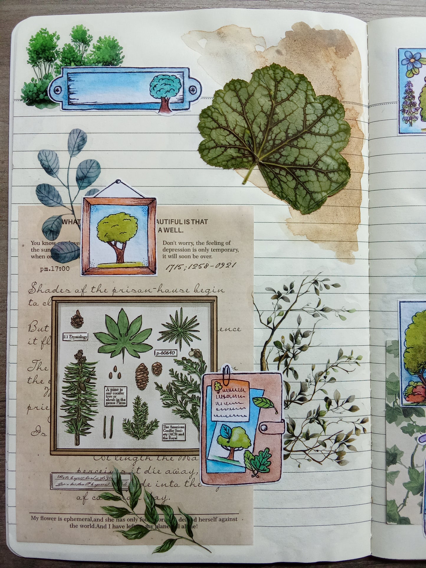 Lot de 33 Stickers Aquarelle – Forêt, Arbres et Nature - Feuille Feuillage