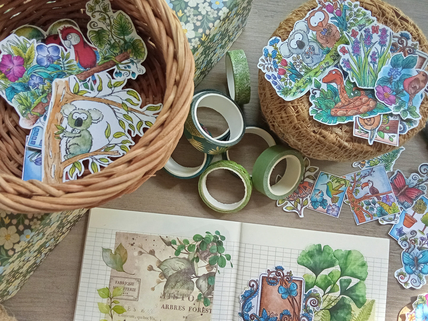 Stickers animaux mignons et nature – Lot de 33 autocollants illustrés à l’aquarelle – Koalas, escargots, oiseaux, fleurs, papillons